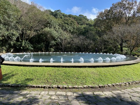 Yangmingshan National Park by null