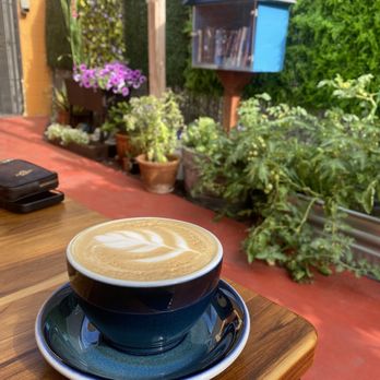 Cafeina Cafe - Honey Lavendar Latte - Cafes Near Me - San Diego, California Cafeina Cafe - Honey Lavendar Latte - Cafes Near Me - San Diego, California