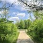 Photo of Hazel Landing Park