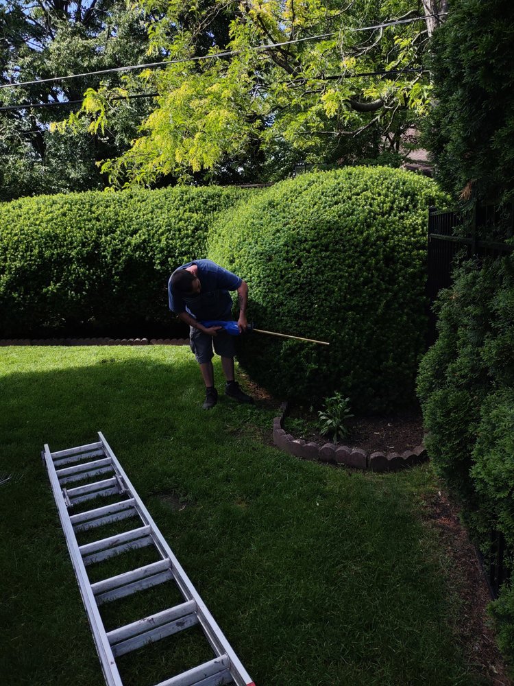 MR GREENS LAWN CARE Lakewood, Ohio Lawn Services Phone Number Yelp