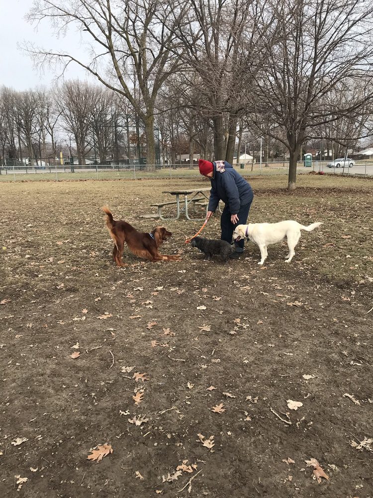 STATLERMALOOF DOG PARK 17 Photos & 10 Reviews 8 Mile & Harper, St