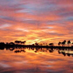 Royal Palm Island