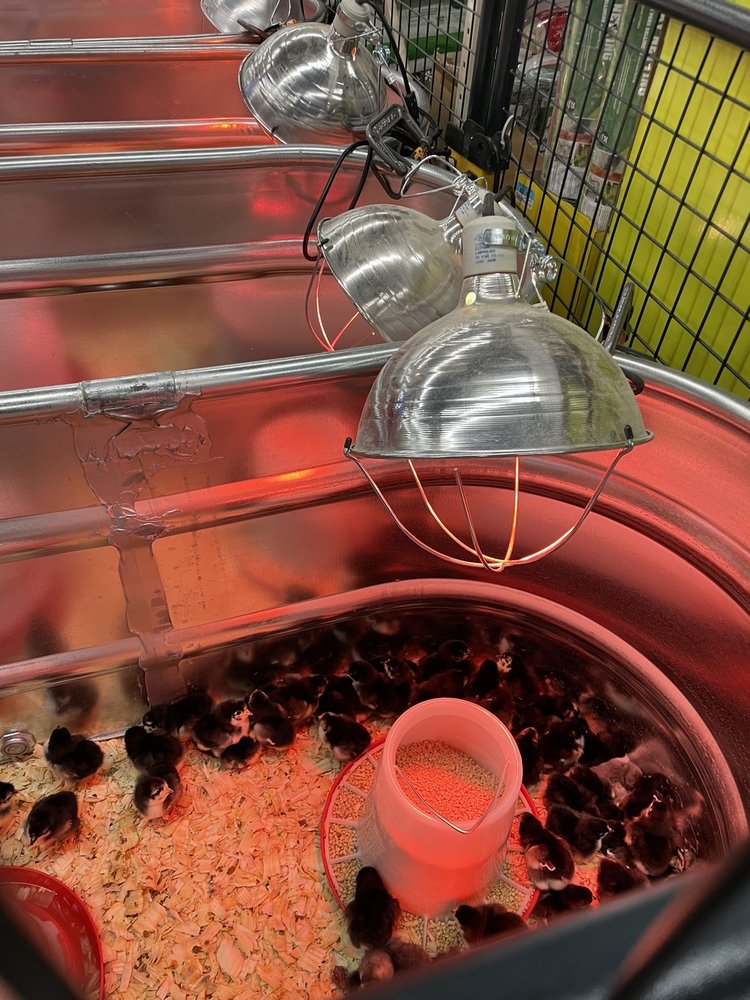 TRACTOR SUPPLY Updated September 2024 1976 Englishtown Rd, Monroe Township, New Jersey