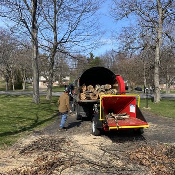 Tier 1 Tree Service - Tree Services Near Me - Beaver Falls, Pennsylvania Tier 1 Tree Service - Tree Services Near Me - Beaver Falls, Pennsylvania