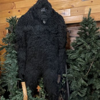 Expedition Bigfoot - The big fella - Museums Near Me - Blue Ridge, Georgia Expedition Bigfoot - The big fella - Museums Near Me - Blue Ridge, Georgia