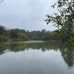 Demott Park - Drizzly day September 2026