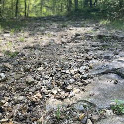 Henning State Conservation Area