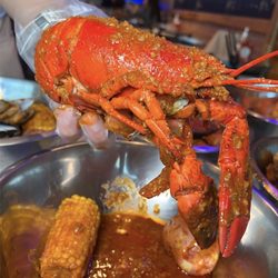 Gao's Crab