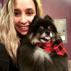 Pet Stores In Cottage Grove Yelp