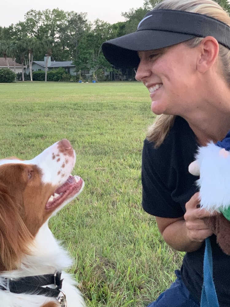 LAST PAW Updated September 2024 Sarasota, Florida Pet Training