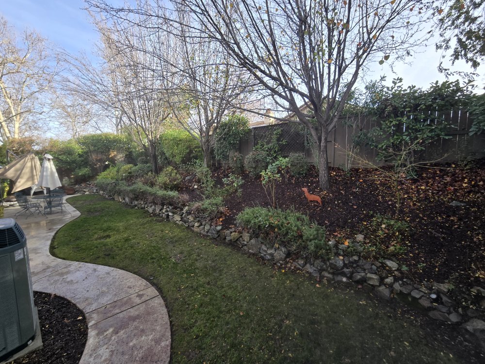 Slide of The Handy Couple