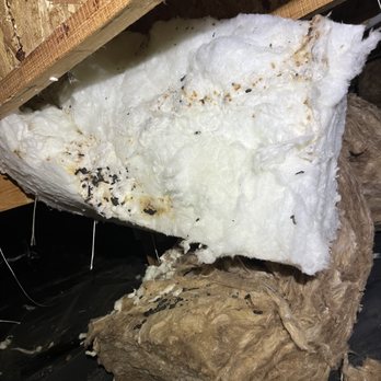 Puget Sound Quality Insulation - Insulation Installation Near Me - Tacoma, Washington Puget Sound Quality Insulation - Insulation Installation Near Me - Tacoma, Washington