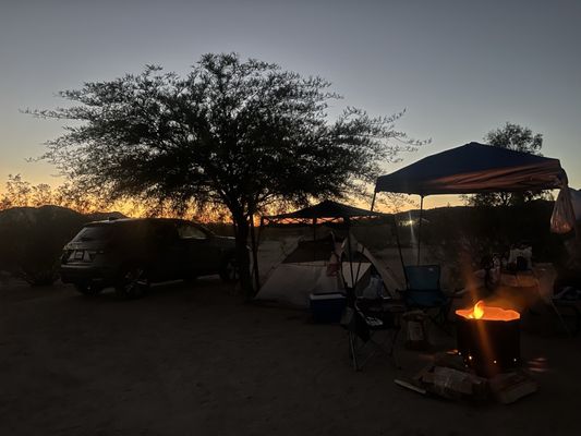 Camping place Joshua Tree by null