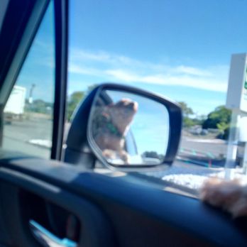 PetSmart - Pet Training Near Me - Hyannis, Massachusetts