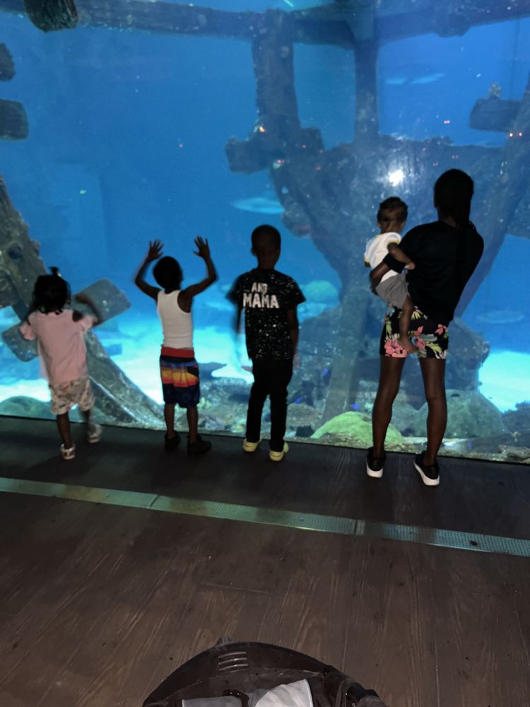 We Do Everything With Love - childcare center in North Las Vegas, NV