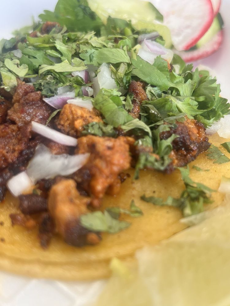 Tacote Balboa