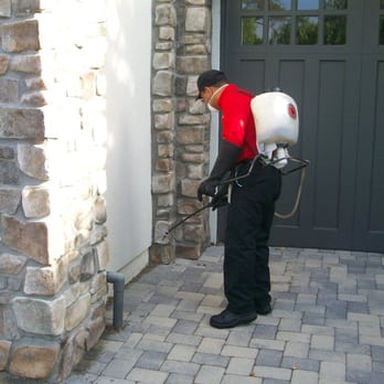 North Point Pest Solutions - Exterior Ant Treatment - Pest Control Near Me - Novato, California North Point Pest Solutions - Exterior Ant Treatment - Pest Control Near Me - Novato, California