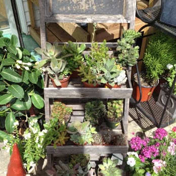 Herb Creek Landscape Supply - Nurseries & Gardening Near Me - Savannah, Georgia Herb Creek Landscape Supply - Nurseries & Gardening Near Me - Savannah, Georgia