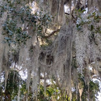 Bonaventure Cemetery - Funeral Services & Cemeteries Near Me - Savannah, Georgia