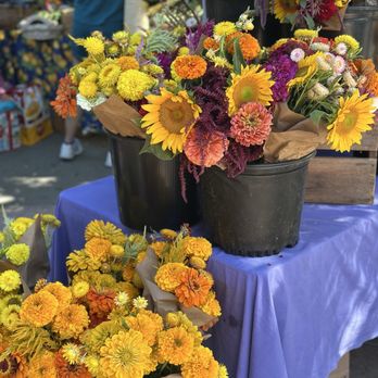 Davis Farmers Market - Farmers Market Near Me - Davis, California