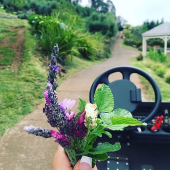 Ali'i Kula Lavender - On the lavender tour they give you samples to take home my favorite was the white lavender it has a hint of vanilla - Tours Near Me - Kula, Hawaii