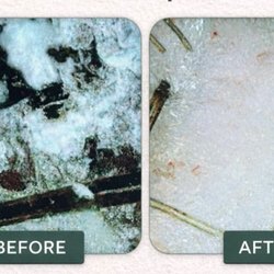 Crown Rituals Studio and Holistic Head Spa - Buildup removed * Balance restored.