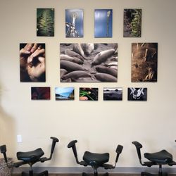 Crown Hill Chiropractic - Wobble Chairs