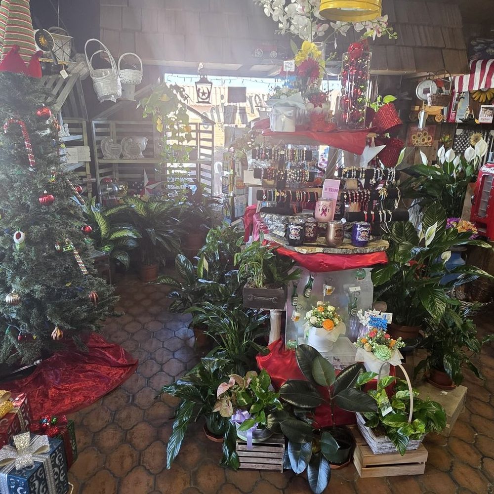 The Flower Mine - Florists Near Me - Yuma, Arizona The Flower Mine - Florists Near Me - Yuma, Arizona
