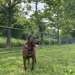 Kennedy Dells County Park Dog Run - Kennedy Dell Dog Park, New City, NY