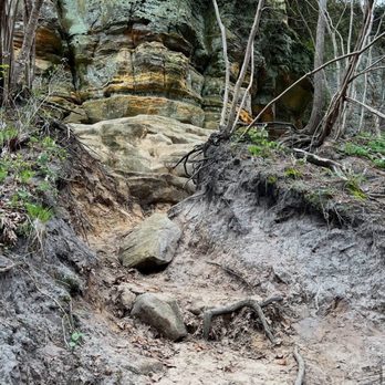 Starved Rock State Park - Parks Near Me - Utica, Illinois