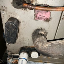 Luxe Inspection - Organic Growth on indoor air handler unit