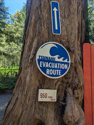 Confusion Hill by null