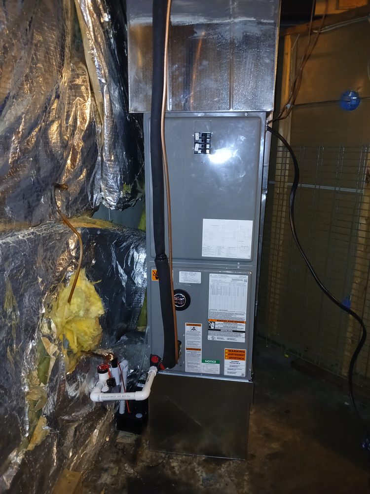 Slide of Wilson's Complete Package