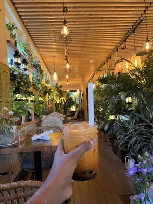 Coco Thai Bistro by null