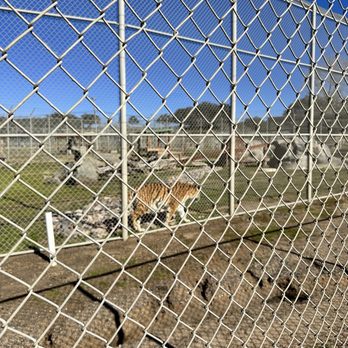 Lions Tigers & Bears - Community Service/Non-Profit Near Me - Alpine, California