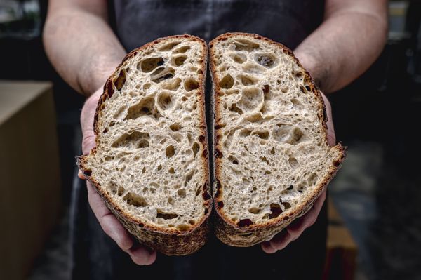 Stevedore Bakery by null