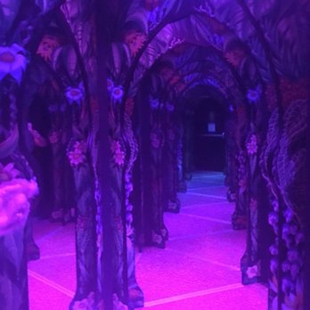 Laser + Mirror Maze - Kids Activities Near Me - Scottsdale, Arizona Laser + Mirror Maze - Kids Activities Near Me - Scottsdale, Arizona