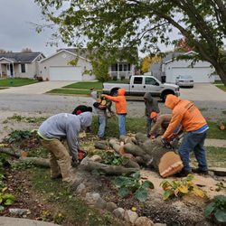Embark Tree Removal