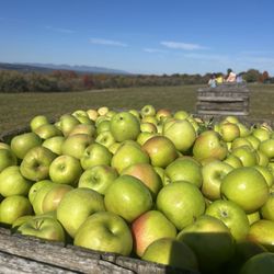 Apple Hill Farm