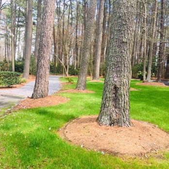 Red Wing Park - The cool paths through the woods - Dog Parks Near Me - Virginia Beach, Virginia