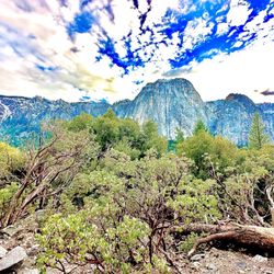 El Capitan