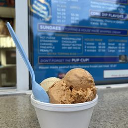 Homemade Ice Creams