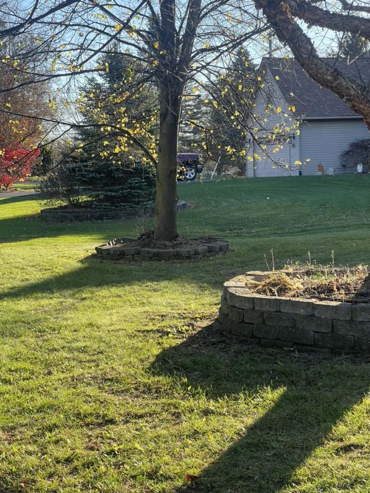 Slide of Morgan Maintenance