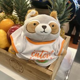 Little friend at the Real Fruit Bubble Tea in American Dream
