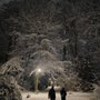 Photo of Stadtpark