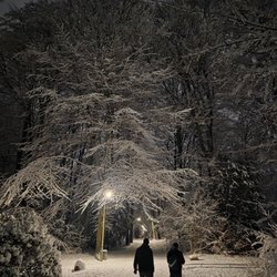 Stadtpark