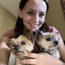 Happy Dog Walks - Skye & Bella