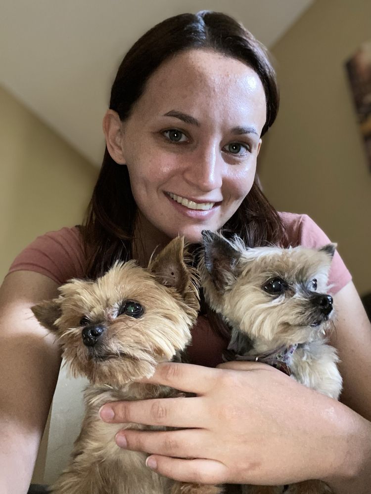 Happy Dog Walks - pet boarding facility in Wilmington, DE