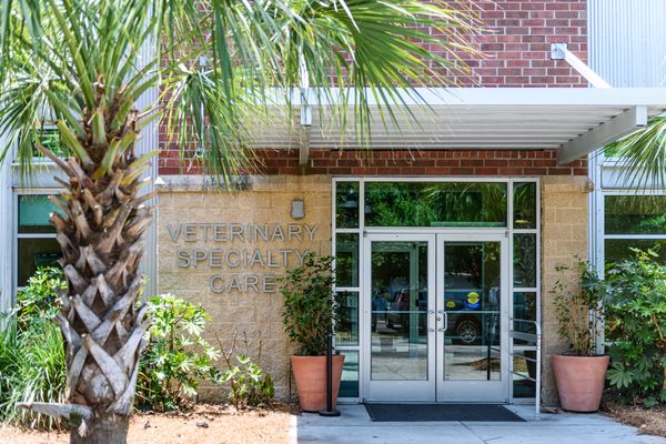 Veterinary Specialty Care 81 Photos 72 Reviews Veterinarians 985 Johnnie Dodds Blvd Mount Pleasant Sc United States Phone Number Veterinary Specialty Care 81 Photos 72 Reviews Veterinarians 985 Johnnie Dodds Blvd Mount Pleasant Sc United States Phone Number