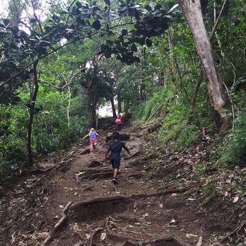 Makiki Valley Trail - If these little ones did it so can you! - Hiking Near Me - Honolulu, Hawaii Makiki Valley Trail - If these little ones did it so can you! - Hiking Near Me - Honolulu, Hawaii